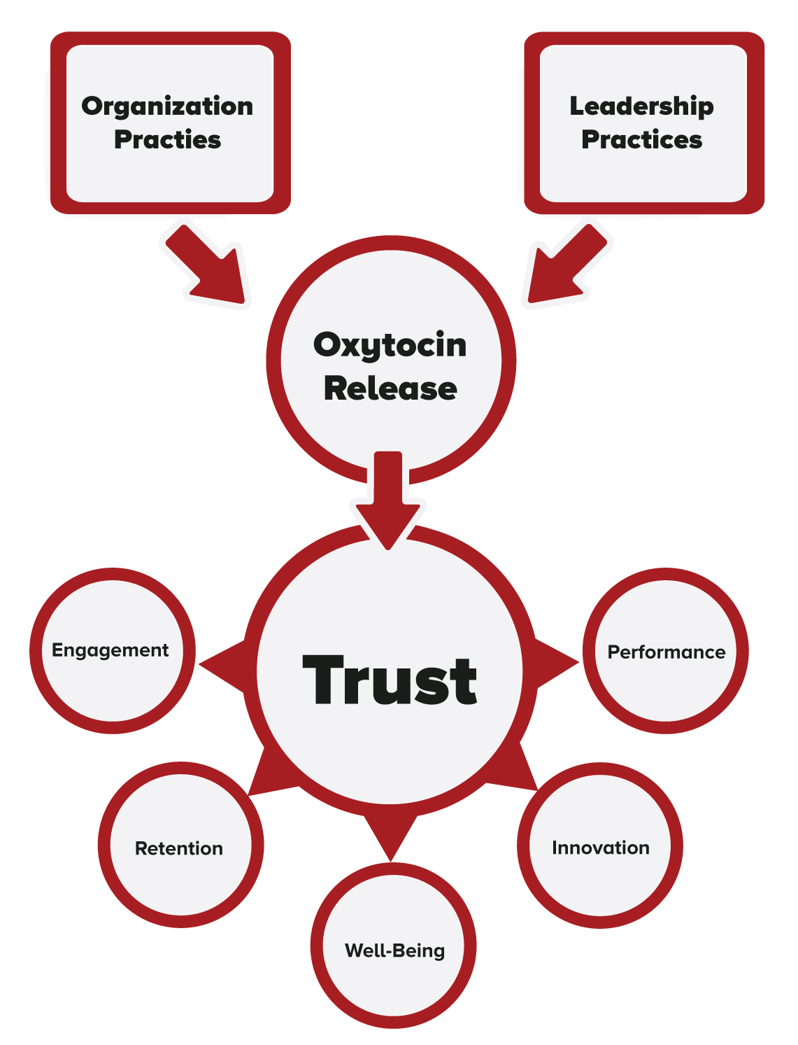 NeuroTeamView Model
